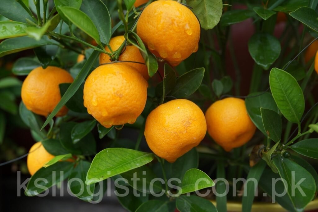 Food And Beverage Logistics